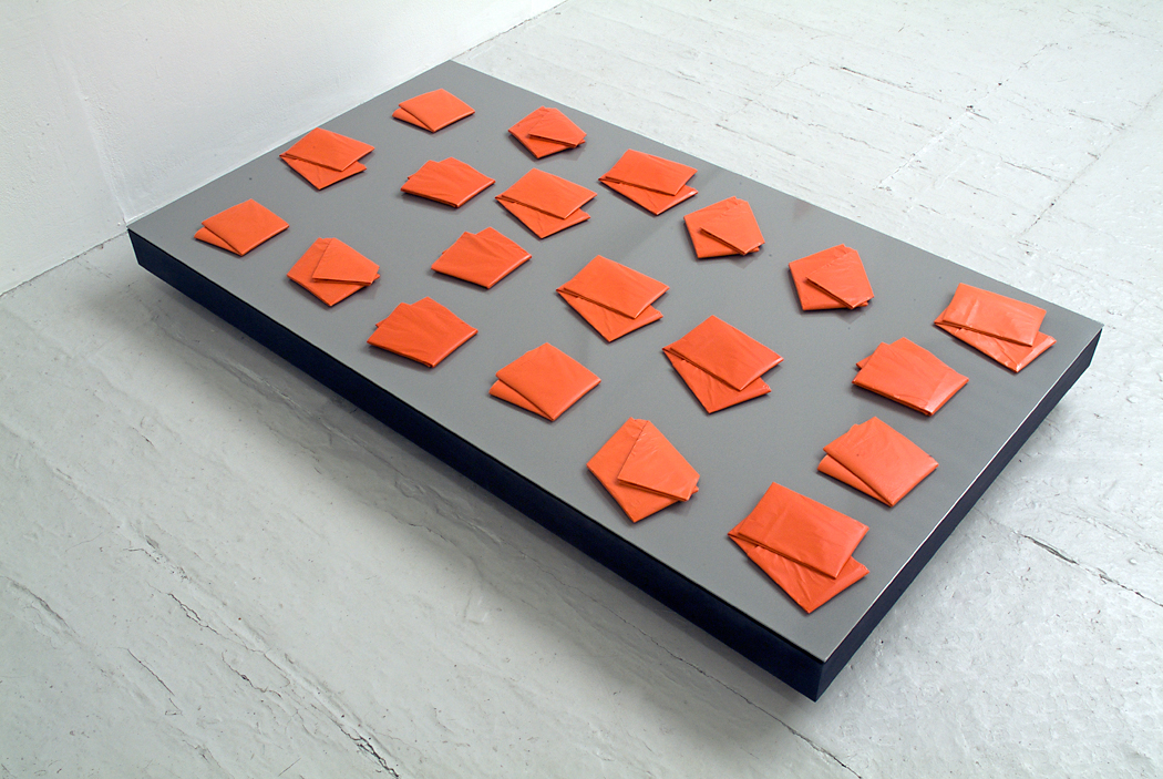 Poupak Sarah Shoughi, Orange Tissues (2013)